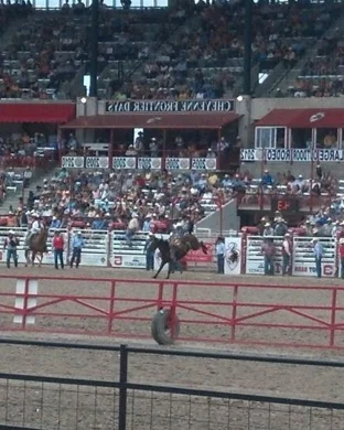PBR World Finals