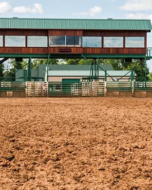 Ultimate Bullfighters