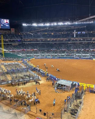 Mesquite Championship Rodeo