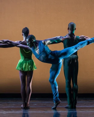 Social Tango Project