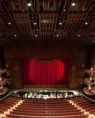 Dallas Opera: The Cunning Little Vixen