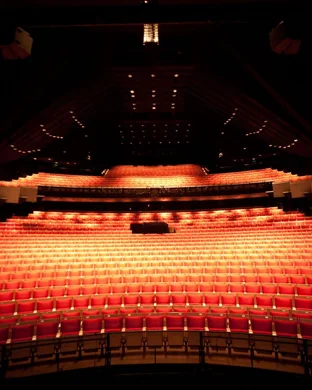 Dallas Opera: The Little Prince